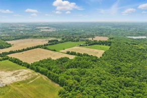 Walking Trails throughout your own Maple Forest - Country homes for sale and luxury real estate including horse farms and property in the Caledon and King City areas near Toronto