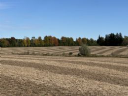 Brook Forest Farm, East Garafraxa, Ontario - Country homes for sale and luxury real estate including horse farms and property in the Caledon and King City areas near Toronto