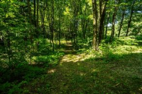Top Of The World, Caledon, Ontario - Country homes for sale and luxury real estate including horse farms and property in the Caledon and King City areas near Toronto