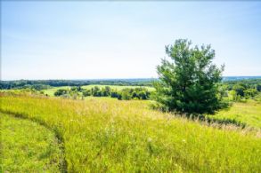 Top Of The World, Caledon, Ontario - Country homes for sale and luxury real estate including horse farms and property in the Caledon and King City areas near Toronto